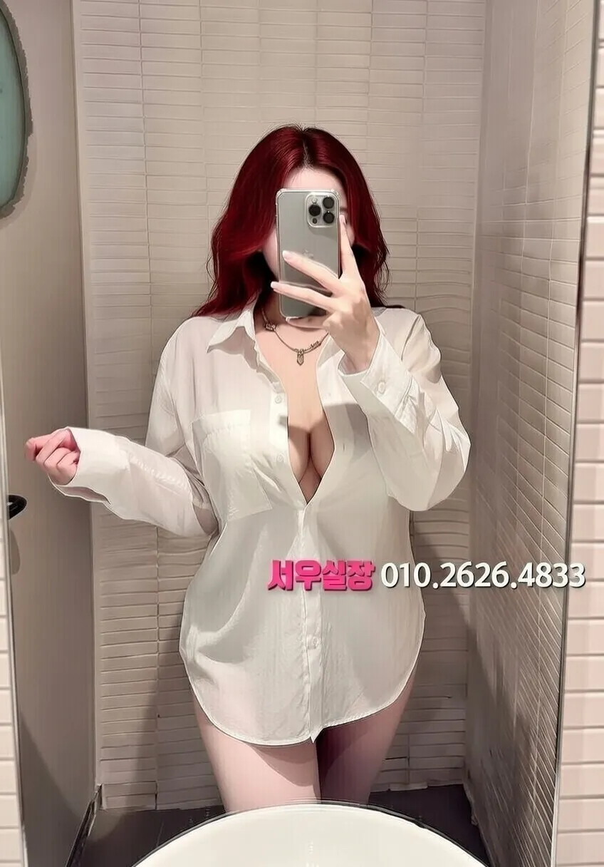 대전 보도 프리미엄 라인업 11번 프로필