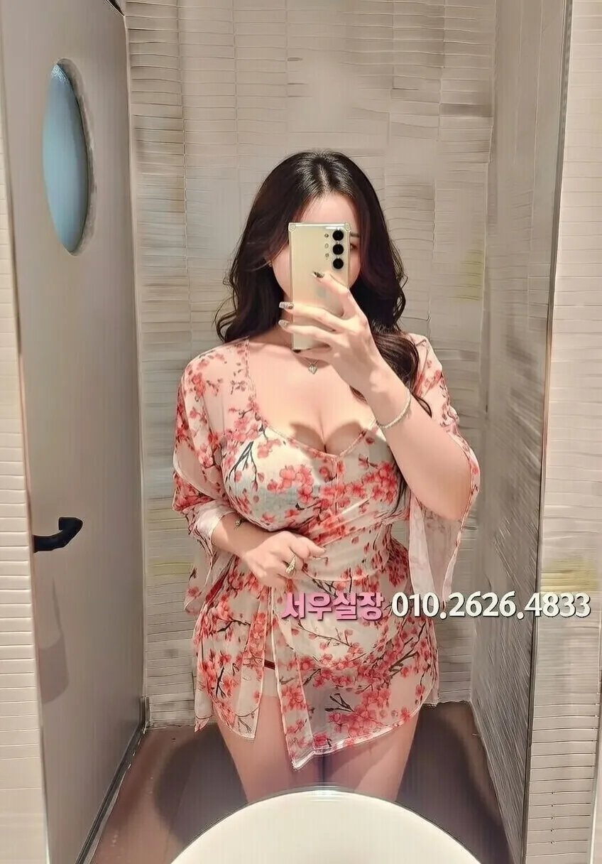 대전 보도 프리미엄 라인업 7번 프로필